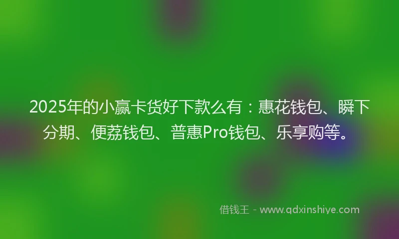 2025年的小赢卡货好下款么有：惠花钱包、瞬下分期、便荔钱包、普惠Pro钱包、乐享购等。