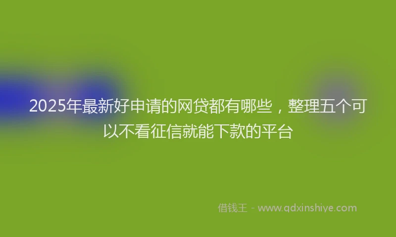 2025年最新好申请的网贷都有哪些，整理五个可以不看征信就能下款的平台