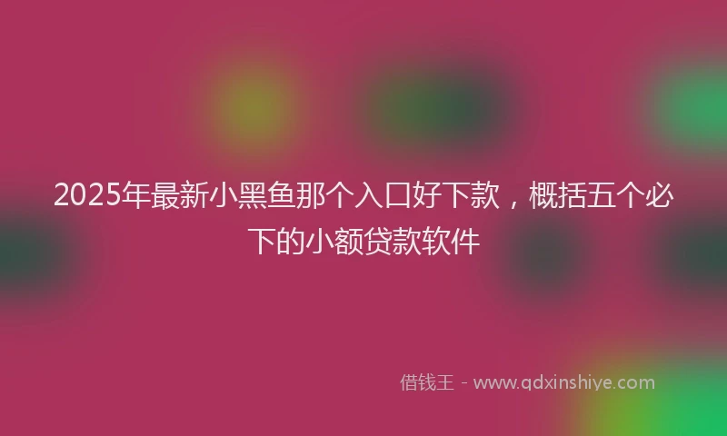 2025年最新小黑鱼那个入口好下款，概括五个必下的小额贷款软件