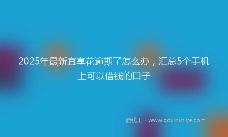 2025年最新宜享花逾期了怎么办，汇总5个手机上可以借钱的口子