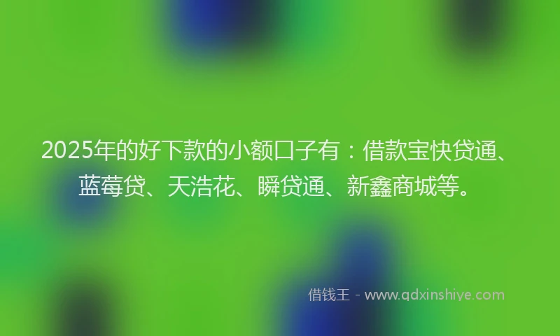 2025年的好下款的小额口子有：借款宝快贷通、蓝莓贷、天浩花、瞬贷通、新鑫商城等。