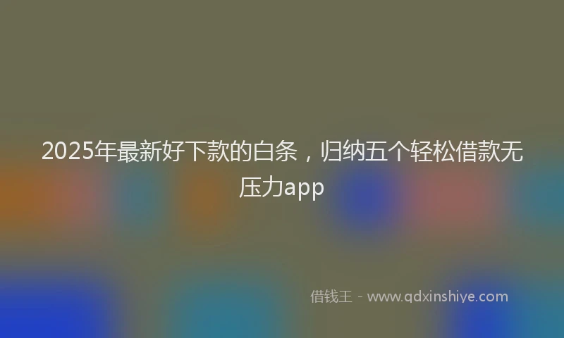 2025年最新好下款的白条，归纳五个轻松借款无压力app