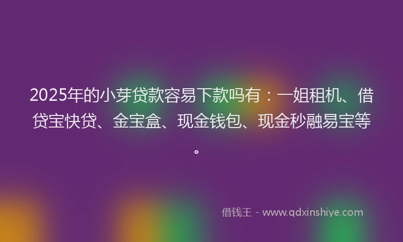 2025年的小芽贷款容易下款吗有：一姐租机、借贷宝快贷、金宝盒、现金钱包、现金秒融易宝等。