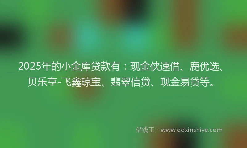 2025年的小金库贷款有：现金侠速借、鹿优选、贝乐享-飞鑫琼宝、翡翠信贷、现金易贷等。