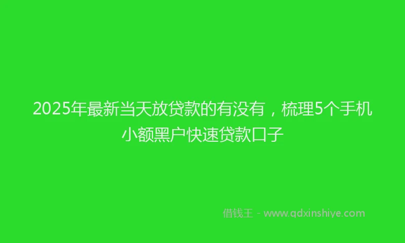 2025年最新当天放贷款的有没有，梳理5个手机小额黑户快速贷款口子