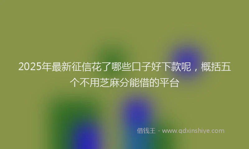 2025年最新征信花了哪些口子好下款呢，概括五个不用芝麻分能借的平台