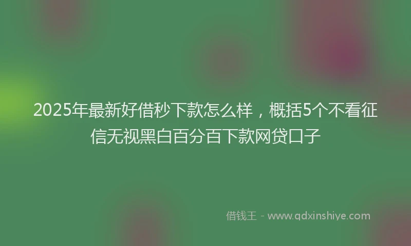 2025年最新好借秒下款怎么样，概括5个不看征信无视黑白百分百下款网贷口子