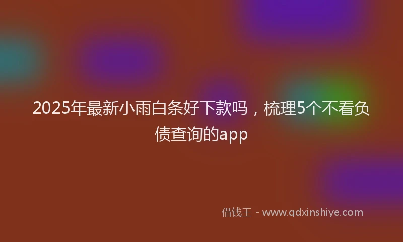 2025年最新小雨白条好下款吗，梳理5个不看负债查询的app