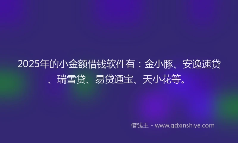 2025年的小金额借钱软件有：金小豚、安逸速贷、瑞雪贷、易贷通宝、天小花等。