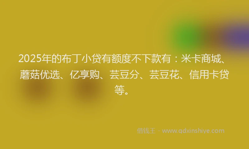 2025年的布丁小贷有额度不下款有：米卡商城、蘑菇优选、亿享购、芸豆分、芸豆花、信用卡贷等。