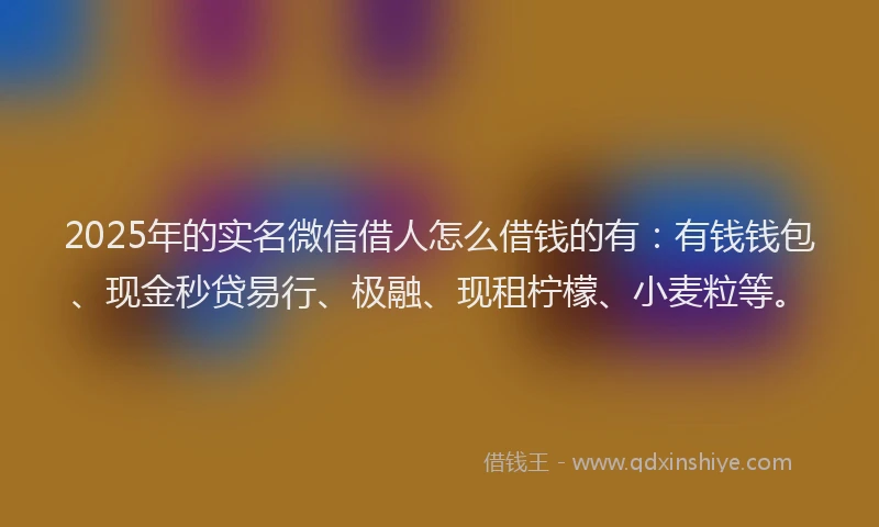 2025年的实名微信借人怎么借钱的有：有钱钱包、现金秒贷易行、极融、现租柠檬、小麦粒等。