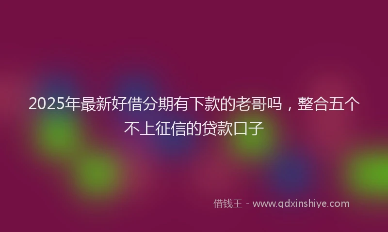 2025年最新好借分期有下款的老哥吗，整合五个不上征信的贷款口子