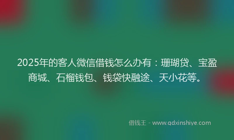 2025年的客人微信借钱怎么办有：珊瑚贷、宝盈商城、石榴钱包、钱袋快融途、天小花等。