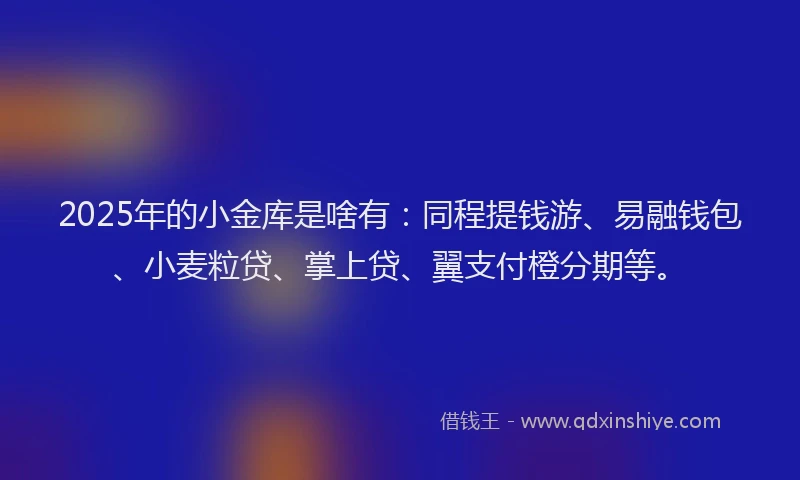 2025年的小金库是啥有：同程提钱游、易融钱包、小麦粒贷、掌上贷、翼支付橙分期等。