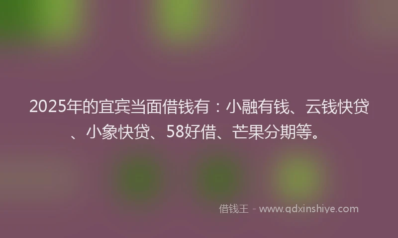 2025年的宜宾当面借钱有：小融有钱、云钱快贷、小象快贷、58好借、芒果分期等。