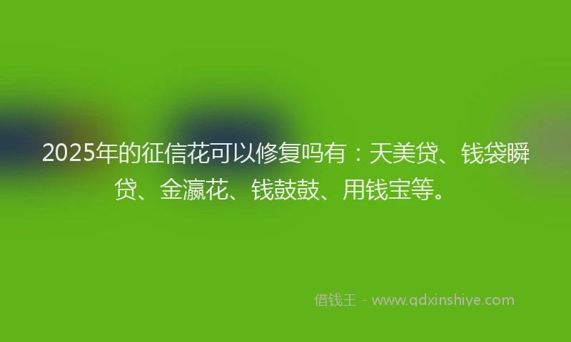 2025年的征信花可以修复吗有：天美贷、钱袋瞬贷、金瀛花、钱鼓鼓、用钱宝等。