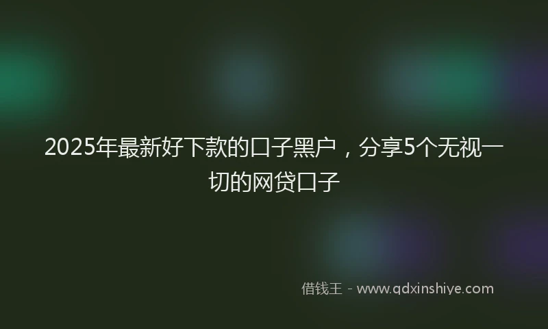 2025年最新好下款的口子黑户，分享5个无视一切的网贷口子