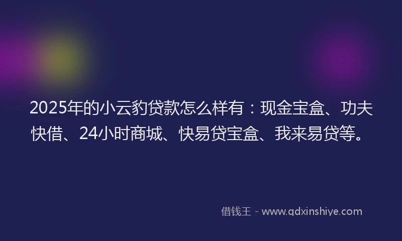 2025年的小云豹贷款怎么样有：现金宝盒、功夫快借、24小时商城、快易贷宝盒、我来易贷等。