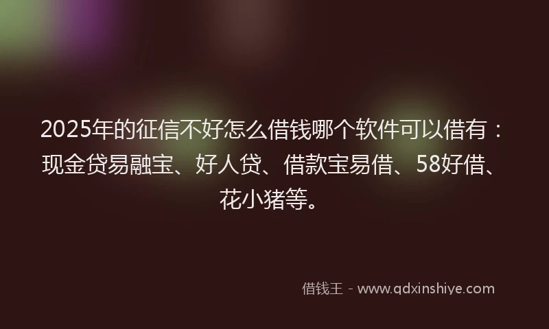 2025年的征信不好怎么借钱哪个软件可以借有：现金贷易融宝、好人贷、借款宝易借、58好借、花小猪等。