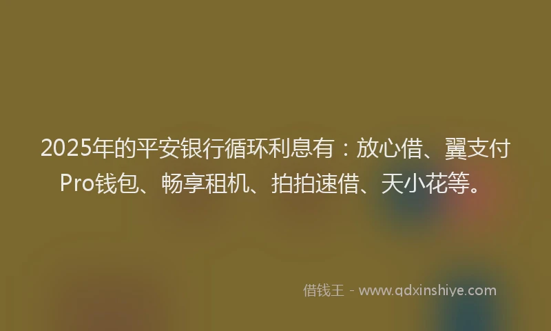 2025年的平安银行循环利息有：放心借、翼支付Pro钱包、畅享租机、拍拍速借、天小花等。