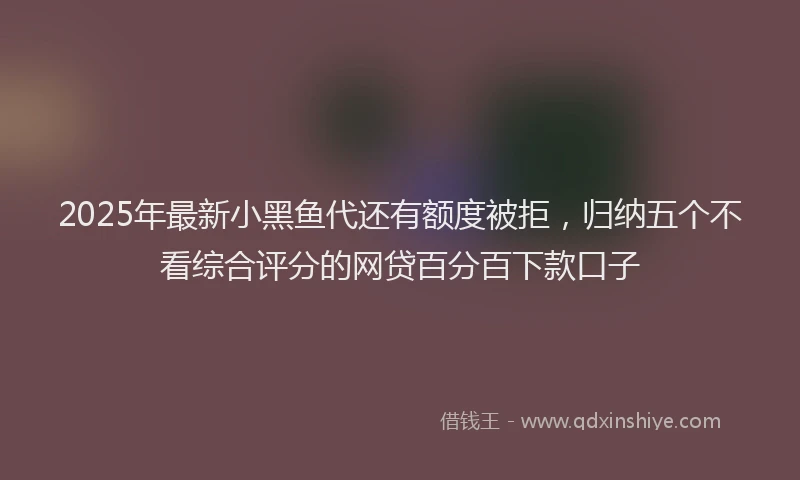 2025年最新小黑鱼代还有额度被拒，归纳五个不看综合评分的网贷百分百下款口子