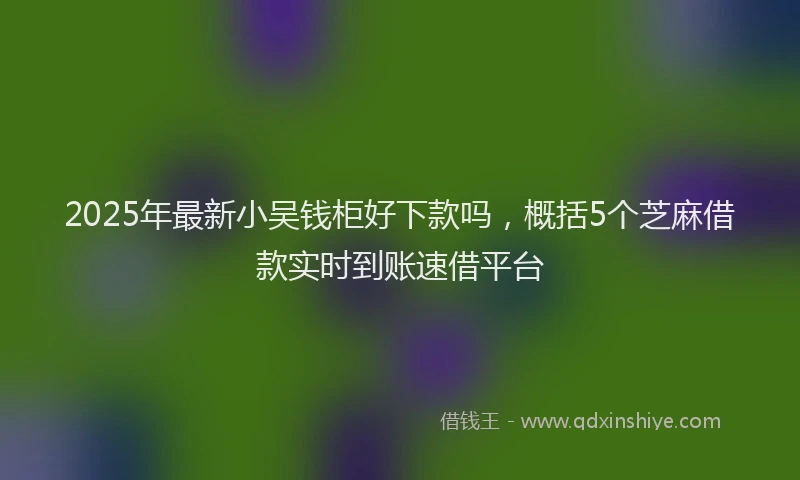2025年最新小吴钱柜好下款吗，概括5个芝麻借款实时到账速借平台