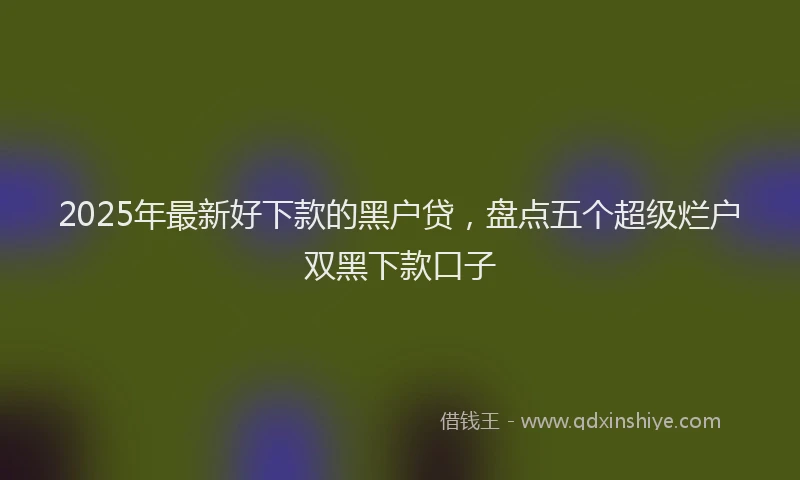 2025年最新好下款的黑户贷，盘点五个超级烂户双黑下款口子
