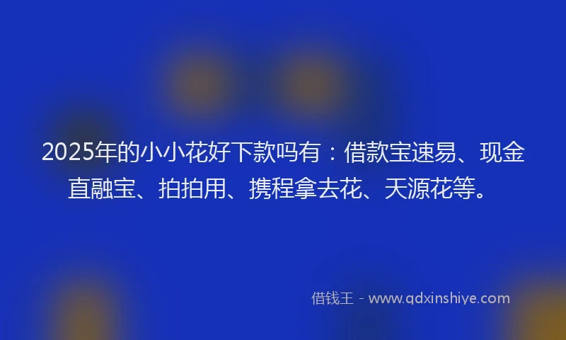 2025年的小小花好下款吗有：借款宝速易、现金直融宝、拍拍用、携程拿去花、天源花等。