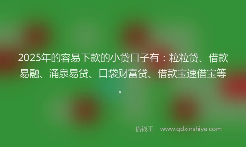2025年的容易下款的小贷口子有：粒粒贷、借款易融、涌泉易贷、口袋财富贷、借款宝速借宝等。