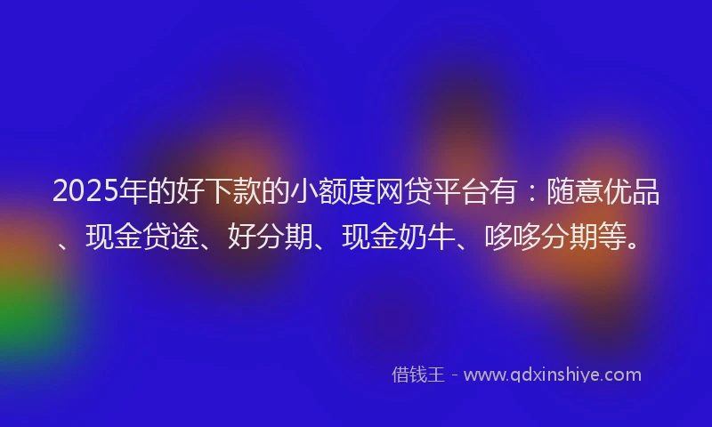 2025年的好下款的小额度网贷平台有：随意优品、现金贷途、好分期、现金奶牛、哆哆分期等。