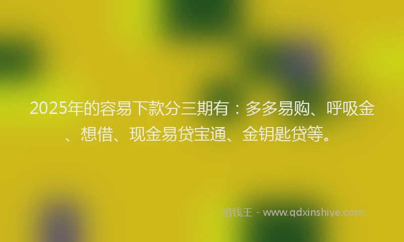 2025年的容易下款分三期有：多多易购、呼吸金、想借、现金易贷宝通、金钥匙贷等。