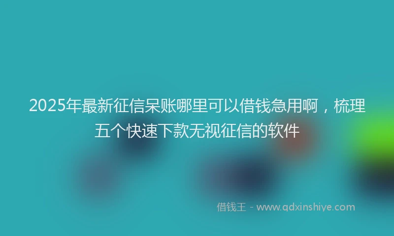 2025年最新征信呆账哪里可以借钱急用啊，梳理五个快速下款无视征信的软件