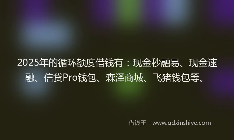 2025年的循环额度借钱有：现金秒融易、现金速融、信贷Pro钱包、森泽商城、飞猪钱包等。