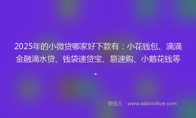 2025年的小微贷哪家好下款有：小花钱包、滴滴金融滴水贷、钱袋速贷宝、易速购、小鹅花钱等。