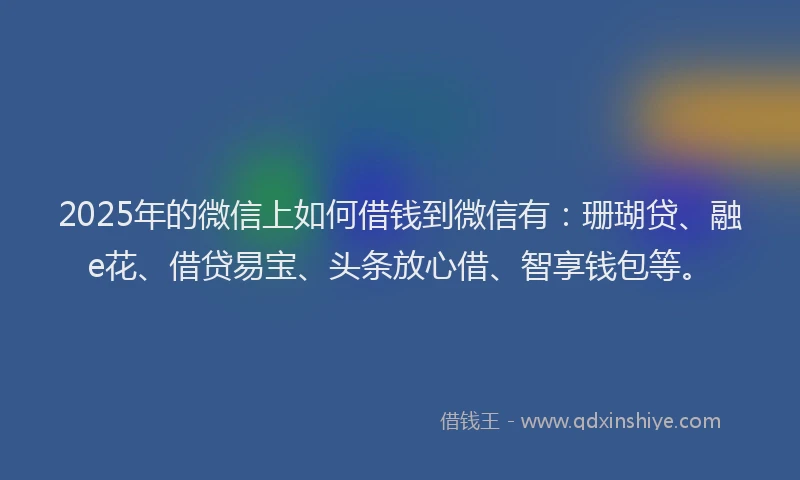 2025年的微信上如何借钱到微信有：珊瑚贷、融e花、借贷易宝、头条放心借、智享钱包等。
