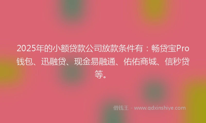 2025年的小额贷款公司放款条件有：畅贷宝Pro钱包、迅融贷、现金易融通、佑佑商城、信秒贷等。
