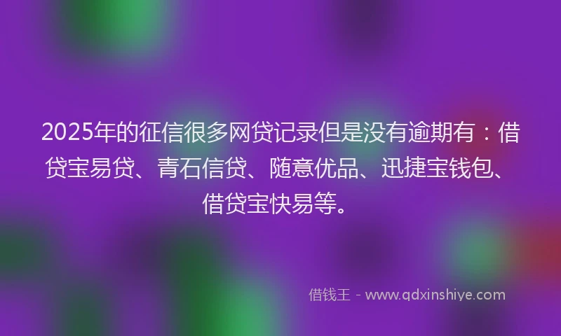 2025年的征信很多网贷记录但是没有逾期有：借贷宝易贷、青石信贷、随意优品、迅捷宝钱包、借贷宝快易等。