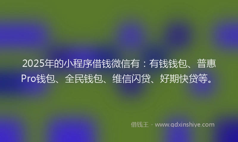 2025年的小程序借钱微信有：有钱钱包、普惠Pro钱包、全民钱包、维信闪贷、好期快贷等。