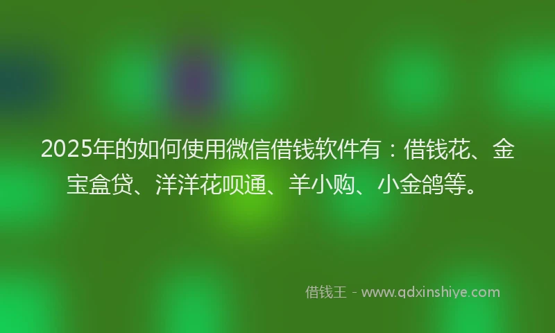 2025年的如何使用微信借钱软件有：借钱花、金宝盒贷、洋洋花呗通、羊小购、小金鸽等。