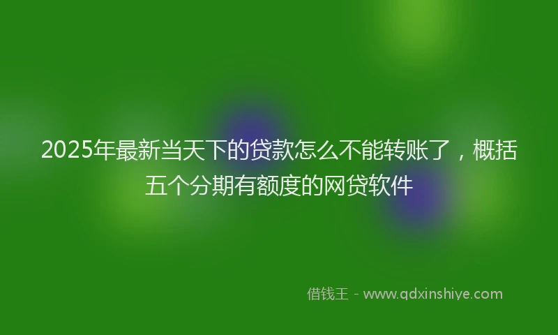 2025年最新当天下的贷款怎么不能转账了，概括五个分期有额度的网贷软件