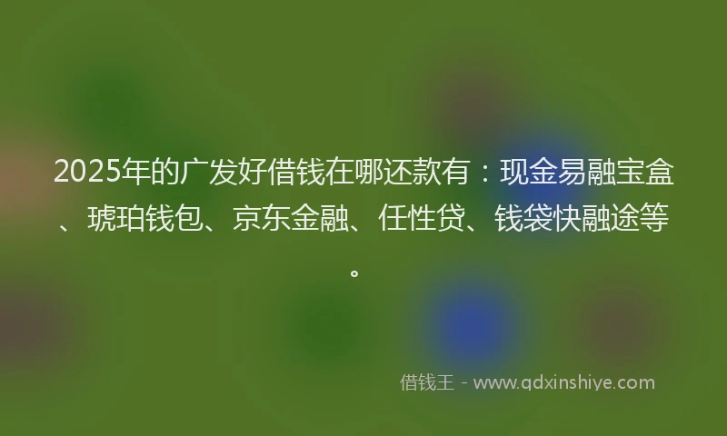 2025年的广发好借钱在哪还款有：现金易融宝盒、琥珀钱包、京东金融、任性贷、钱袋快融途等。