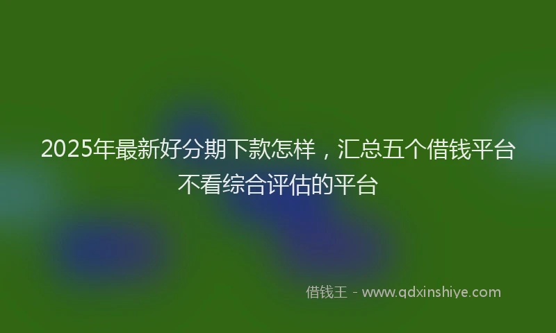 2025年最新好分期下款怎样，汇总五个借钱平台不看综合评估的平台