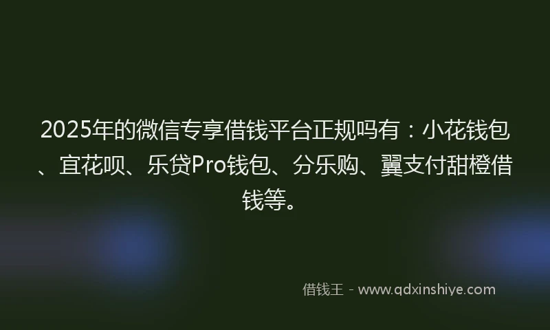 2025年的微信专享借钱平台正规吗有：小花钱包、宜花呗、乐贷Pro钱包、分乐购、翼支付甜橙借钱等。
