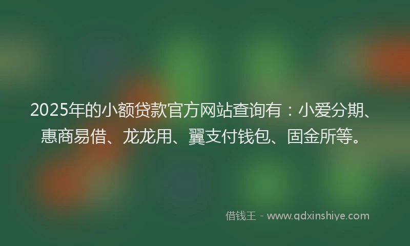 2025年的小额贷款官方网站查询有：小爱分期、惠商易借、龙龙用、翼支付钱包、固金所等。