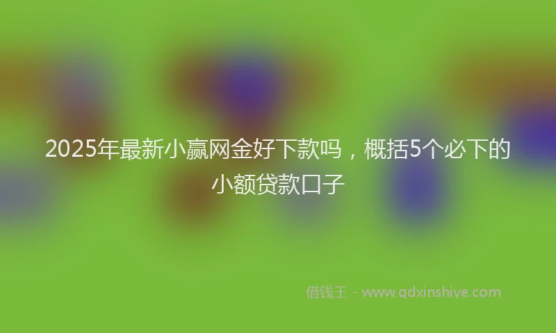 2025年最新小赢网金好下款吗，概括5个必下的小额贷款口子