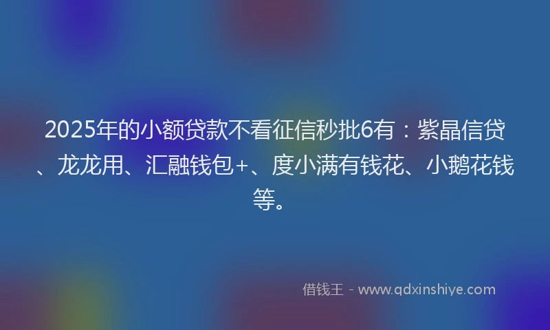 2025年的小额贷款不看征信秒批6有：紫晶信贷、龙龙用、汇融钱包+、度小满有钱花、小鹅花钱等。