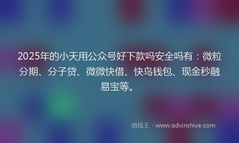 2025年的小天用公众号好下款吗安全吗有：微粒分期、分子贷、微微快借、快鸟钱包、现金秒融易宝等。