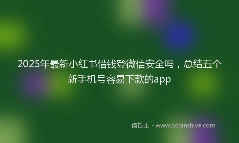 2025年最新小红书借钱登微信安全吗，总结五个新手机号容易下款的app