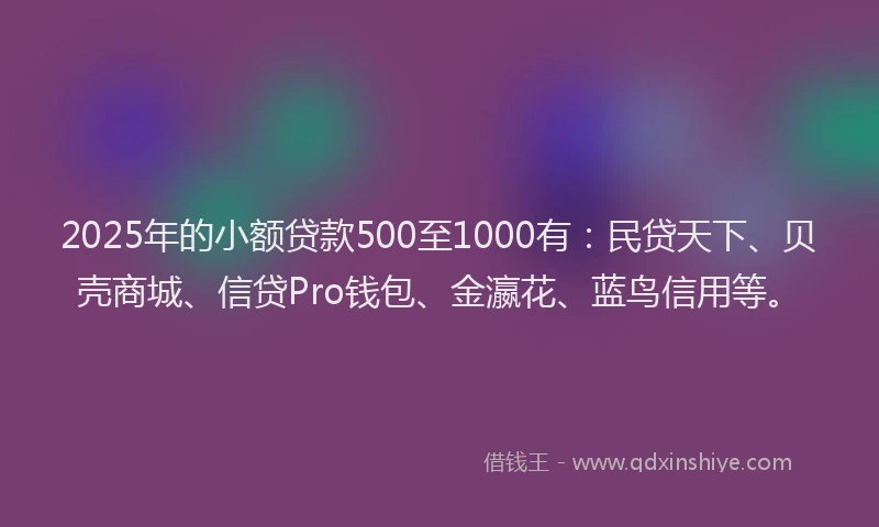2025年的小额贷款500至1000有：民贷天下、贝壳商城、信贷Pro钱包、金瀛花、蓝鸟信用等。