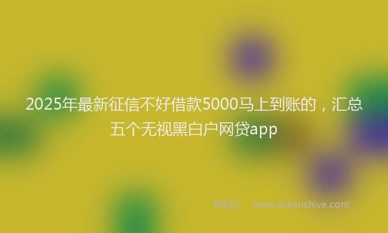 2025年最新征信不好借款5000马上到账的，汇总五个无视黑白户网贷app
